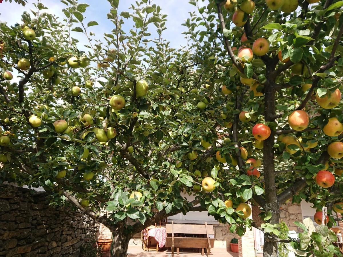 הוילה נאבארדונדה דה גרדוס Ermita De Gredos מראה חיצוני תמונה